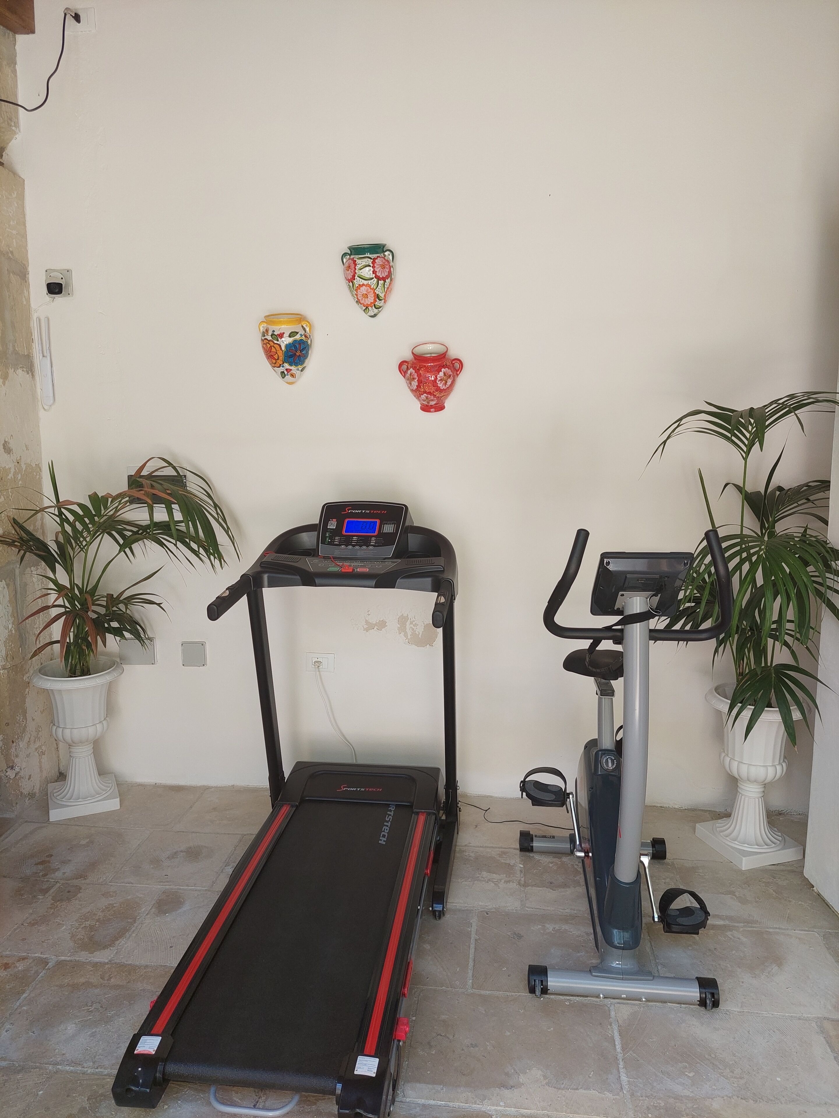Un gimnasio en casa con cinta de correr, elíptica y pesas, junto con decoración en la pared y plantas en macetas.