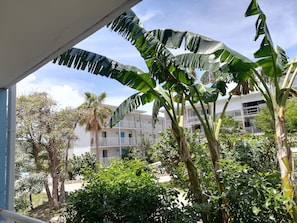 Enjoy views of the surrounding area from the balcony, surrounded by lush greenery and tropical plants.