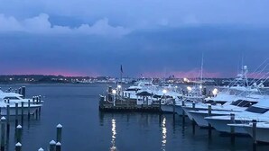 A marina with boats docked at piers, calm water, and a city skyline in the background.