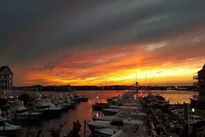 Marina - ⭐️White Marlin 107 Epic Renovation Bayfront Sunsets Pool ⭐️ (Ocean City)