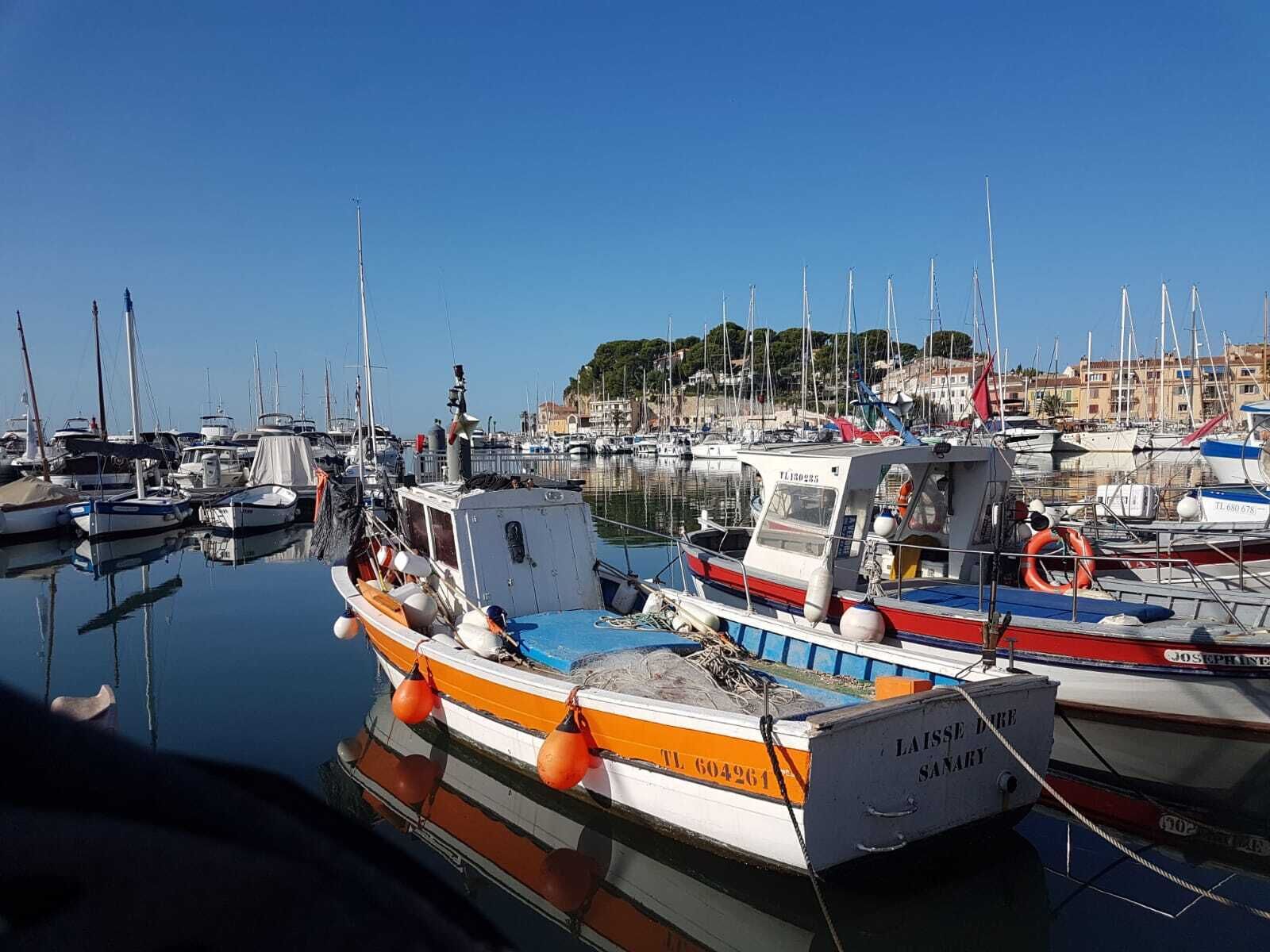 A marina with boats docked, calm water, and a town in the background.