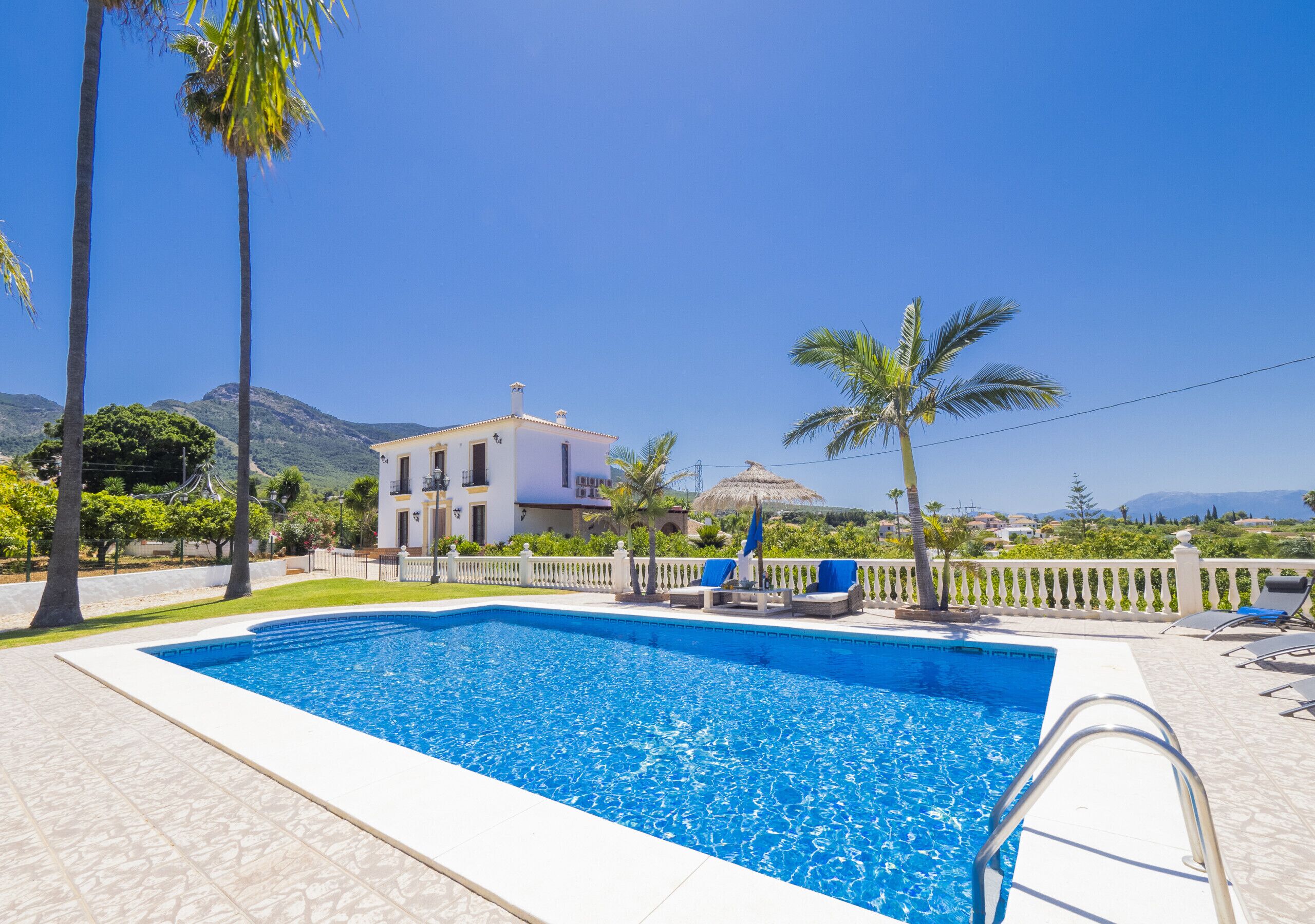 A swimming pool with a white deck, surrounded by palm trees and a white fence.