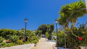 Un sendero bordeado de palmeras y plantas, que conduce a una puerta.
