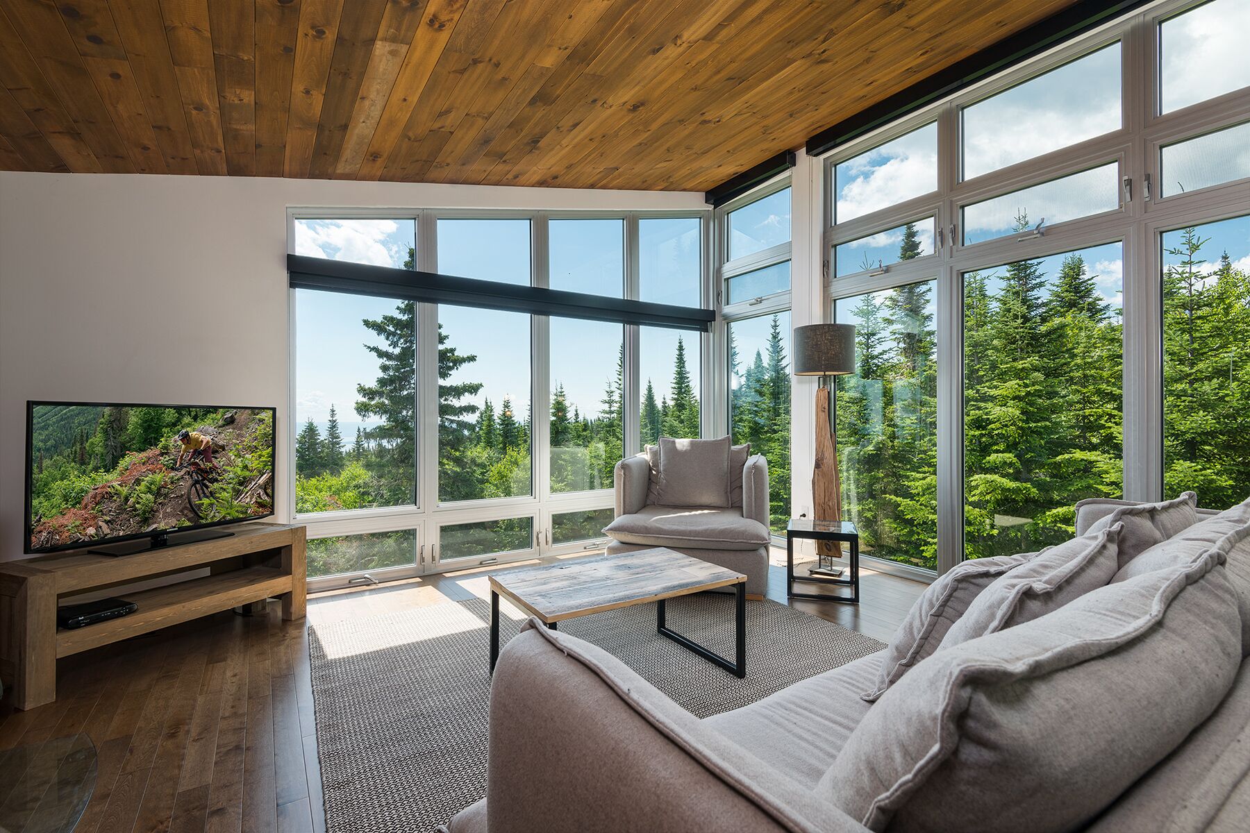 Chalet | Living area | Fireplace