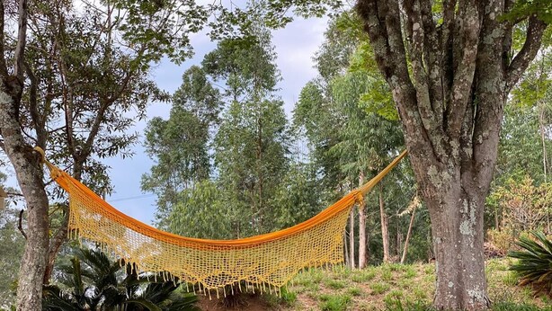 A hammock between trees in a natural setting. - Loft das Águas (MG)