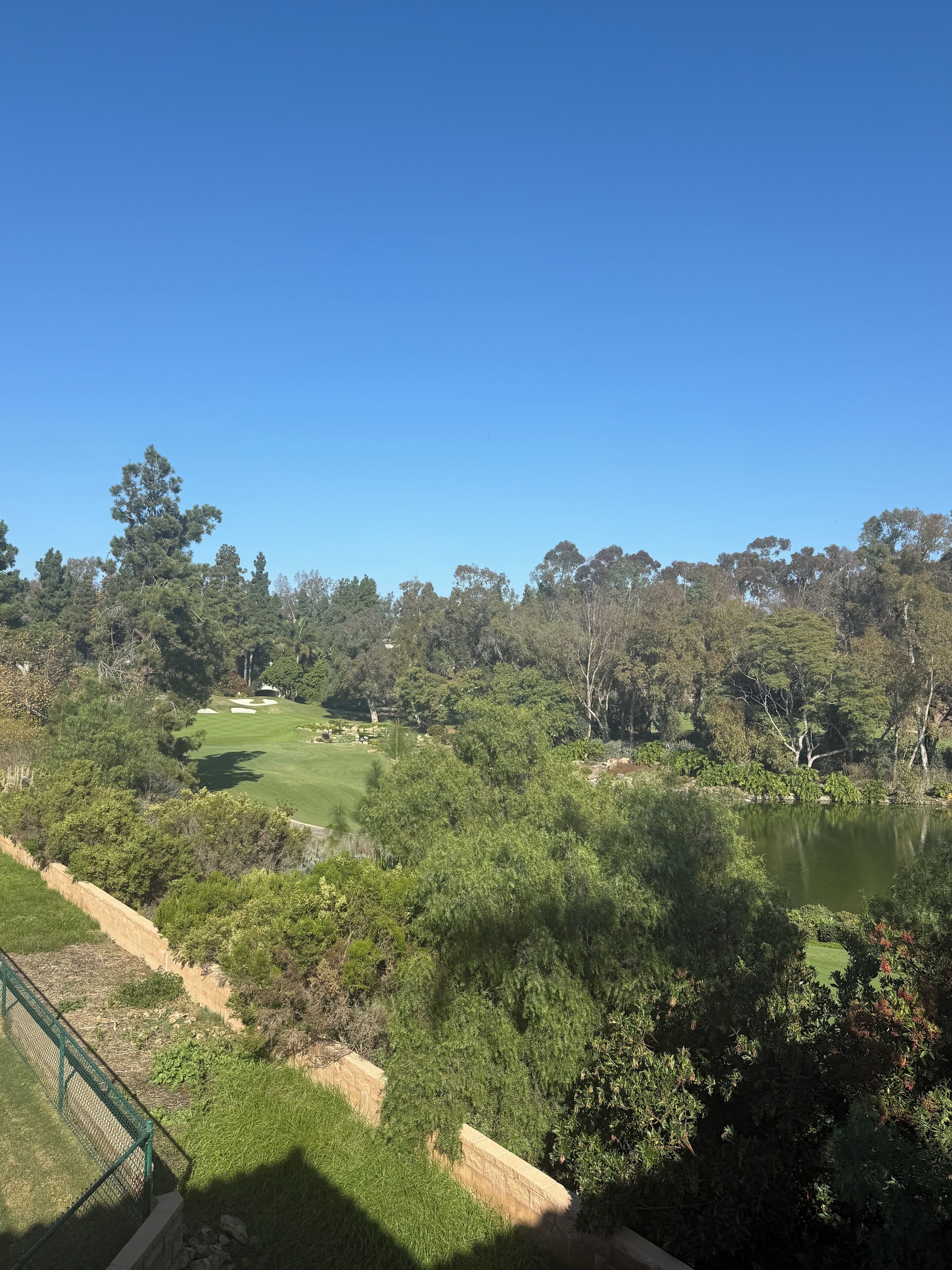 Ein Golfplatz mit Teich, umgeben von dichten Bäumen und blauem Himmel.