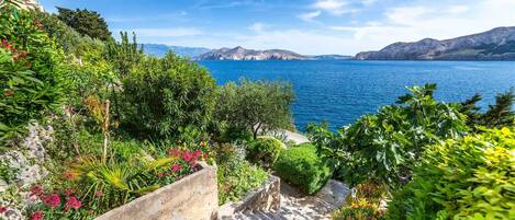 Overnattingsstedets uteområder