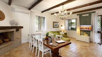 Smart TV, fireplace, books