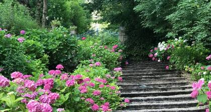 Chateau De Moulin - AS seen on Monsieur Spade TV Show