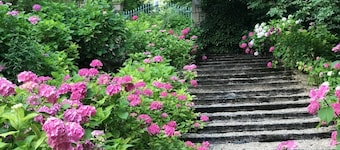 Chateau De Moulin - AS seen on Monsieur Spade TV Show
