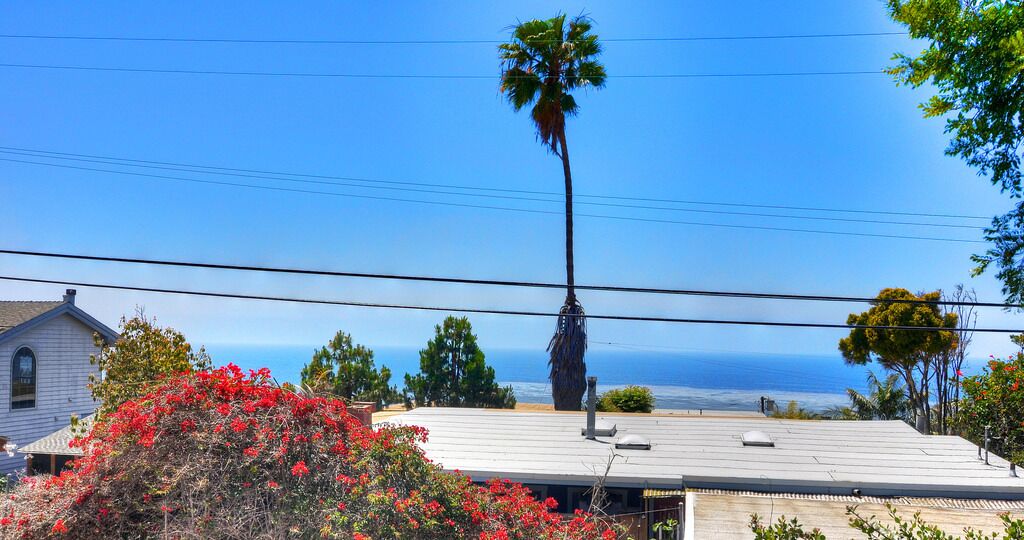 A coastal property with a view of the ocean, a palm tree, and a house with a red flower bush.
