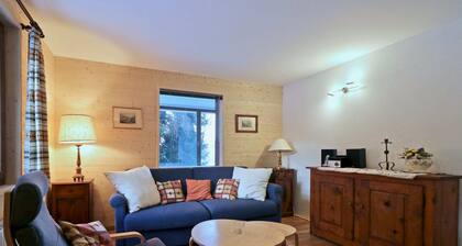 Beautiful Apartment in the Mayens de Sion, 500m From 4 Vallées ski Area