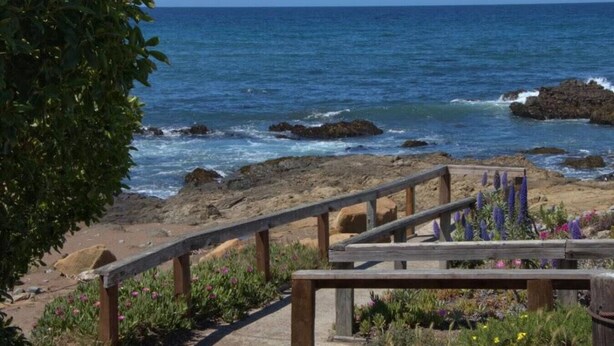 Vista sulla costa con una scala di legno che conduce a una spiaggia sabbiosa, circondata da vegetazione e affioramenti rocciosi.