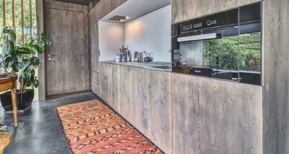 Renovated Historic Barn in Mountain Village
