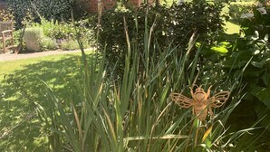 A garden with various plants and a wooden sculpture. - Rural cottage        (Tuamarina)