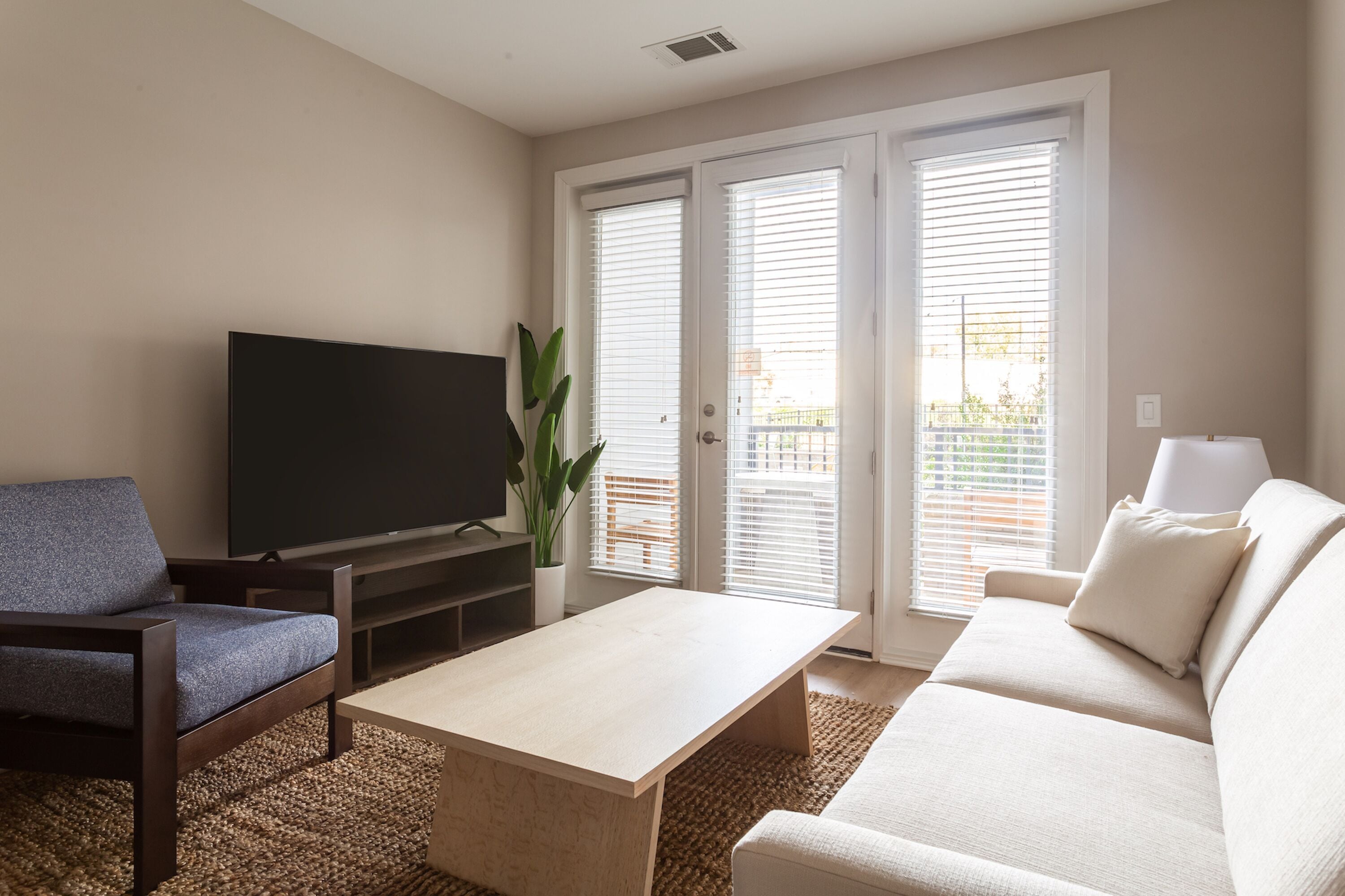 A living room with a flat-screen TV, a sofa, a coffee table, and a plant.