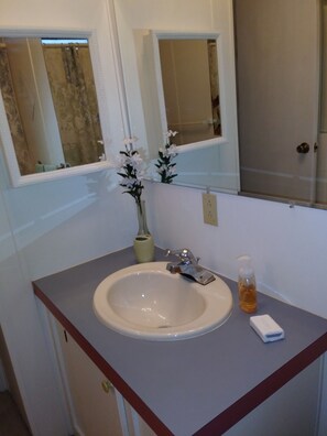 A bathroom with a white sink, a mirror, a vase with flowers, and a soap dispenser. - Homosassa R&R Getaway (Homosassa)