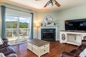 TV, fireplace