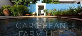 Your home away from home on the Farm, 4 Casitas Bed n Breakfast - Casita 1