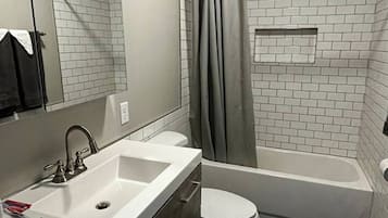 Combined shower/tub, hair dryer