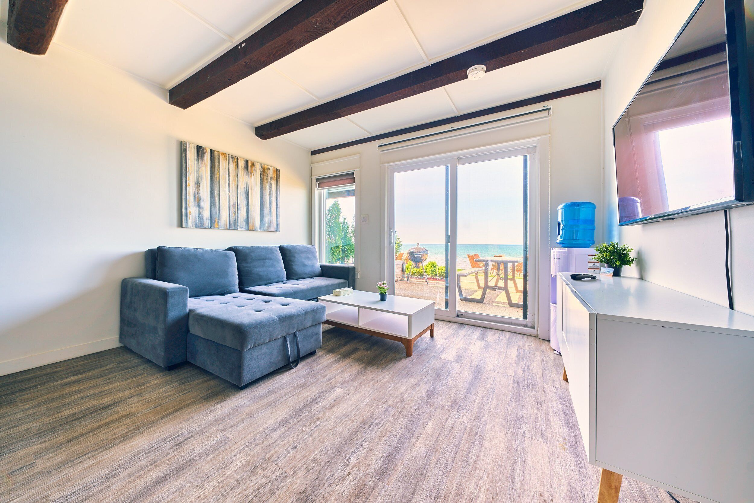 Téléviseur connecté, livres