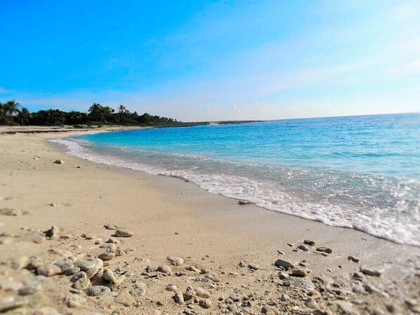 A beach with clear blue water, sandy shore, and scattered rocks. - Jungle vibe,  with  Sea side breezes , EXPERIENCE THE MAYAN RIVIERA  (Akumal)