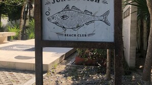 A sign for 'Jungle Fish Beach Club' with a fish illustration. - Jungle vibe,  with  Sea side breezes , EXPERIENCE THE MAYAN RIVIERA  (Akumal)