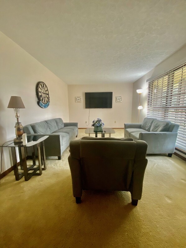 Smart TV, fireplace, books, stereo