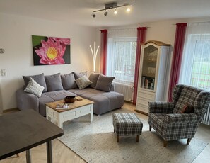 Télévision, chaîne hi-fi