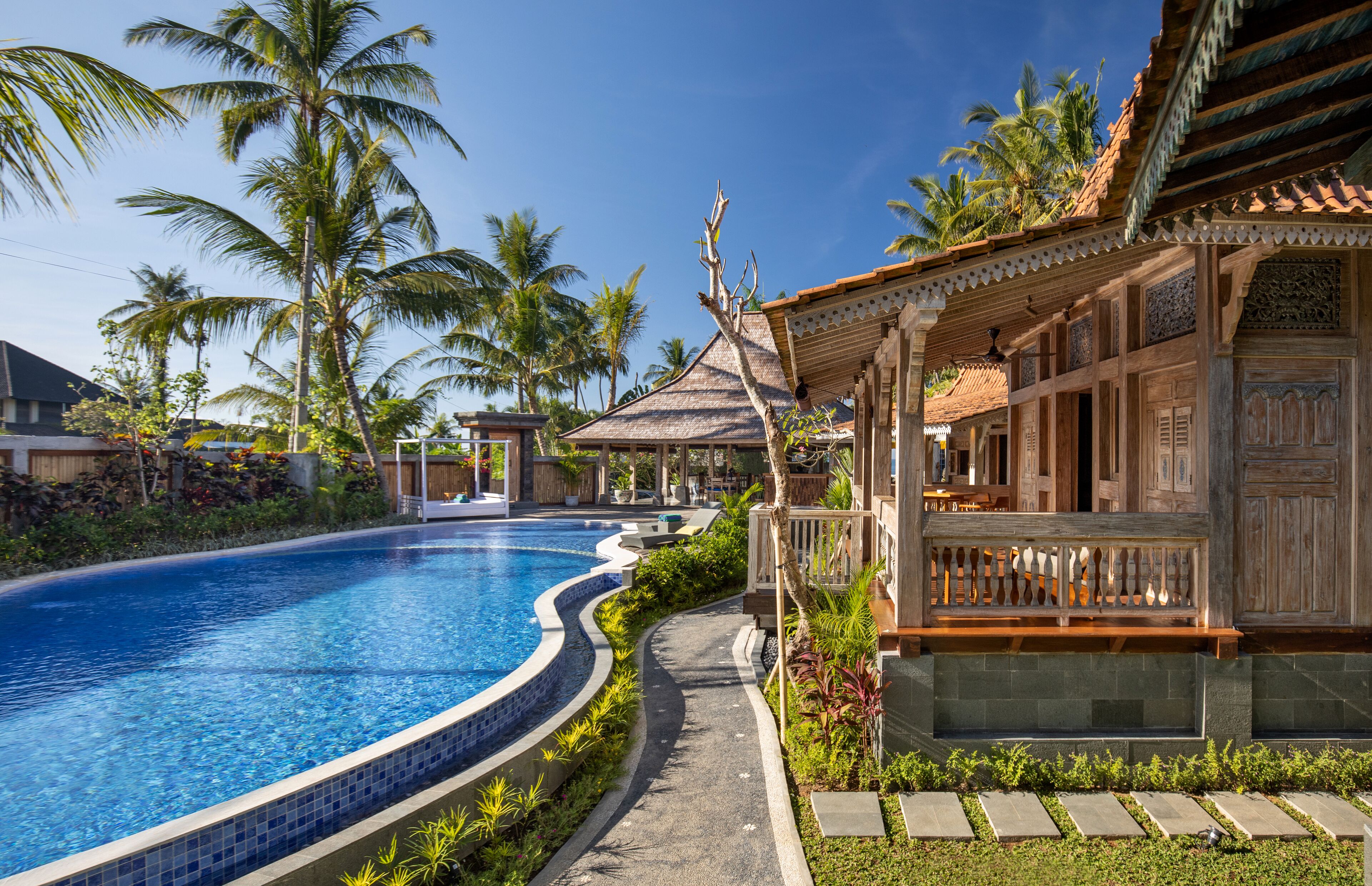 Une piscine à bord incurvé, entourée de plantes tropicales et de palmiers.