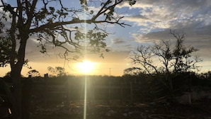 Um pôr do sol com o sol baixo no horizonte, projetando luz entre os galhos das árvores.