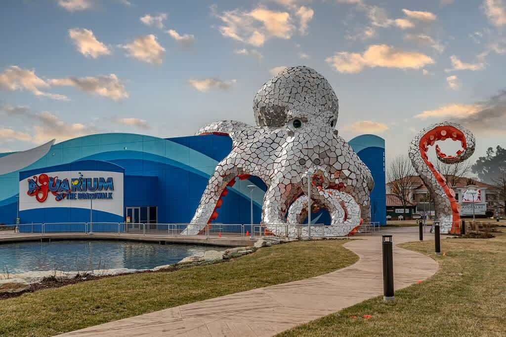 Un aquarium orné d’une sculpture remarquable représentant une pieuvre et dont le bâtiment est de couleur bleue.
