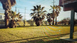 A grassy yard with palm trees and a wooden fence. - Bonita-Jamaica Beach w/Pool,Dog Friendly,kayak/pdlebrd,big yard,8min walk 2beach (Jamaica Beach)