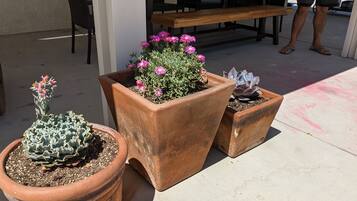 Áreas de la propiedad