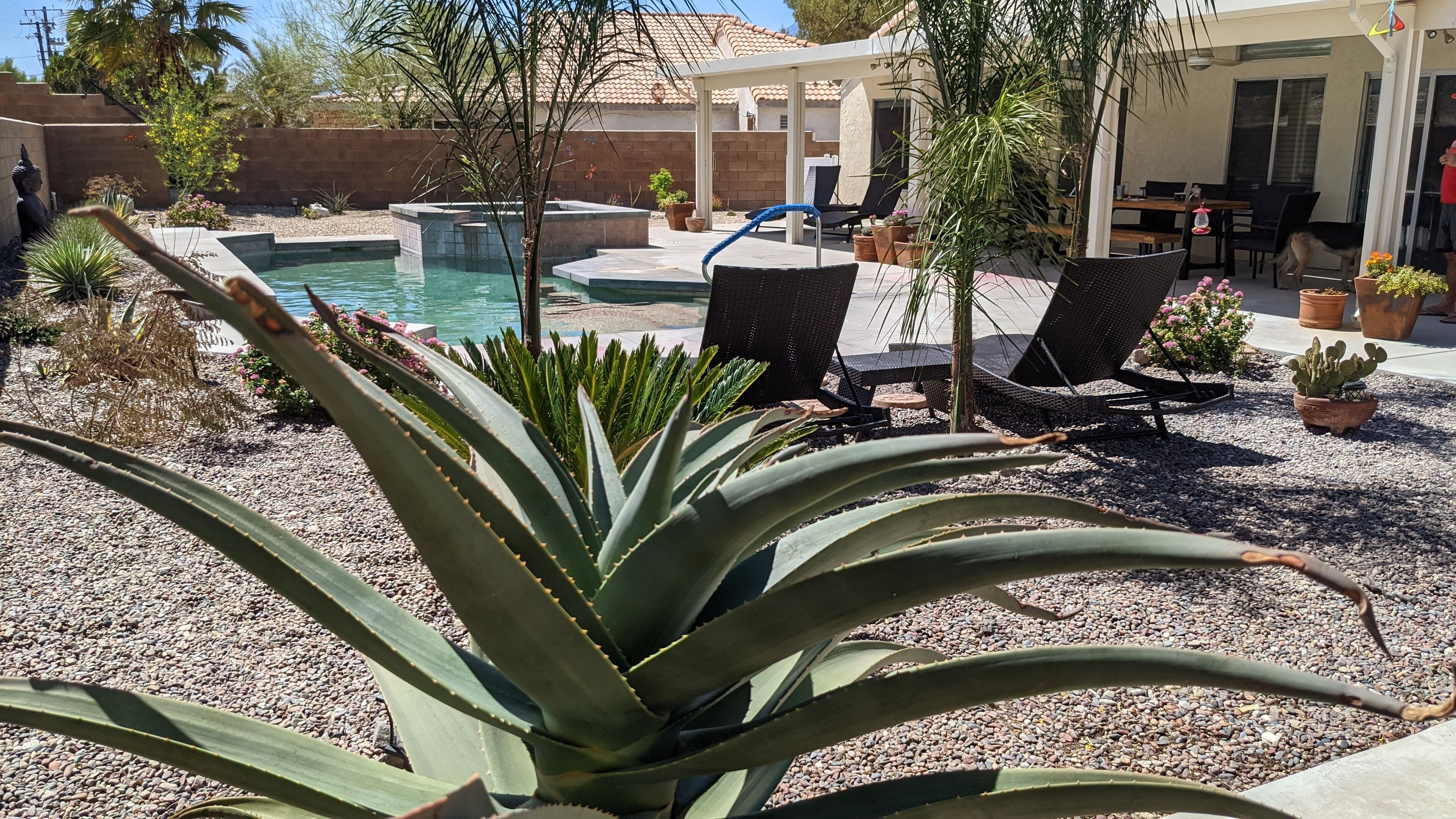 A pool area with lounge chairs, a pergola, and various potted plants.