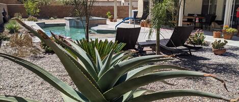 A pool area with lounge chairs, a pergola, and various potted plants.