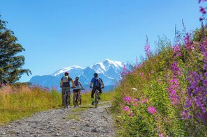 Un sentier de VTT, un groupe de cyclistes, un ciel dégagé et une montagne enneigée en arrière-plan.