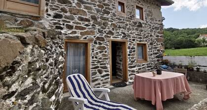 Charming house in Loire gorges with terraces and wood stove