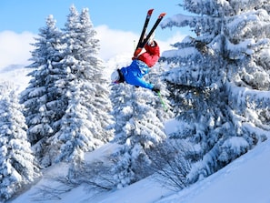 Sneeuw- en skisporten