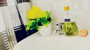 A bathroom sink with a potted plant, a bottle of HOBBY Naturals liquid soap, and a soap bar. - Cosmos Haven Studio (Kisumu)