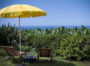 Property grounds - Studio Atún - Finca La Cruz (Tazacorte)