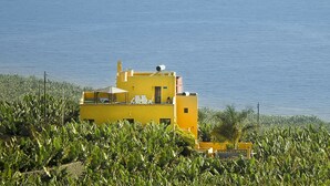Un edificio amarillo de techo plano, rodeado de abundante vegetación verde.