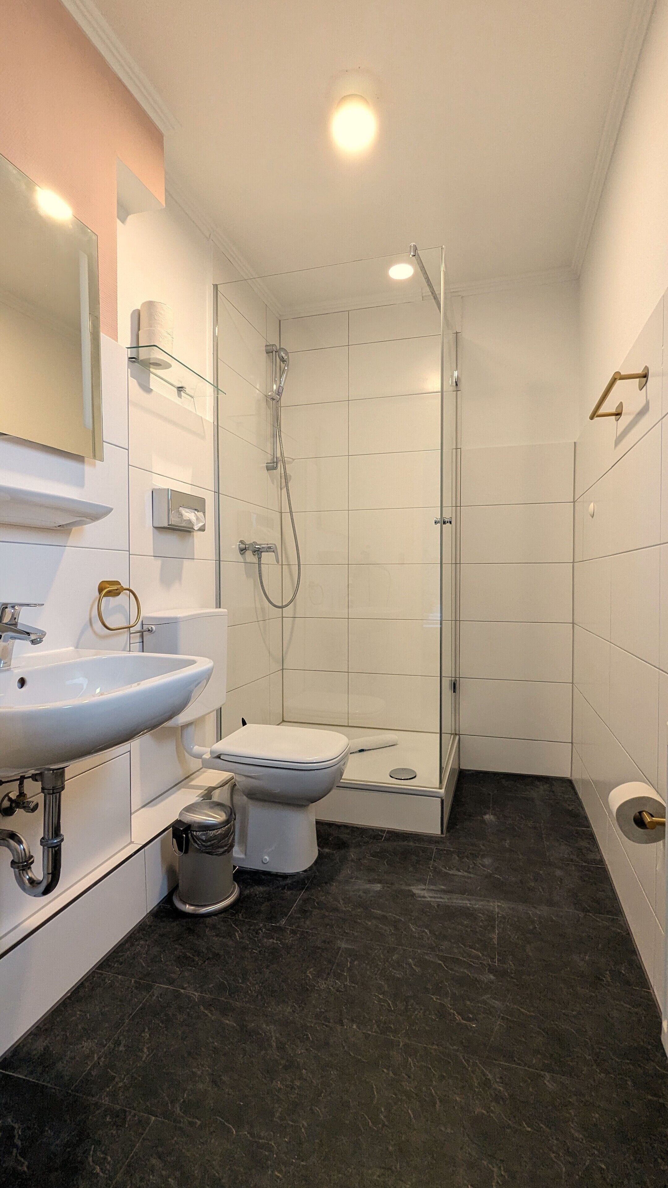 Een moderne badkamer met een douchecabine van glas, een wastafel en een toilet.