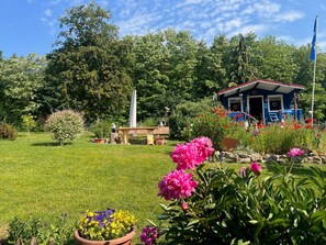 Unclassified image, 3 of 18, button