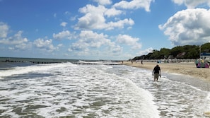 A beach with waves, a pier, and people.