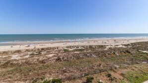 Une plage avec un rivage sablonneux et une végétation clairsemée.