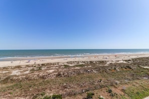 Una playa con orilla arenosa y vegetación escasa.