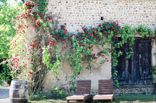 Beautiful Gite, Le Chai In the heart of the Madiran vines, shared pool
