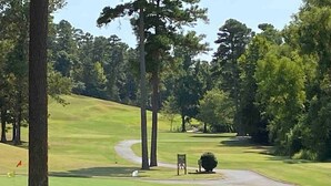 A golf course with sand bunkers, a flagstick, and a flag.