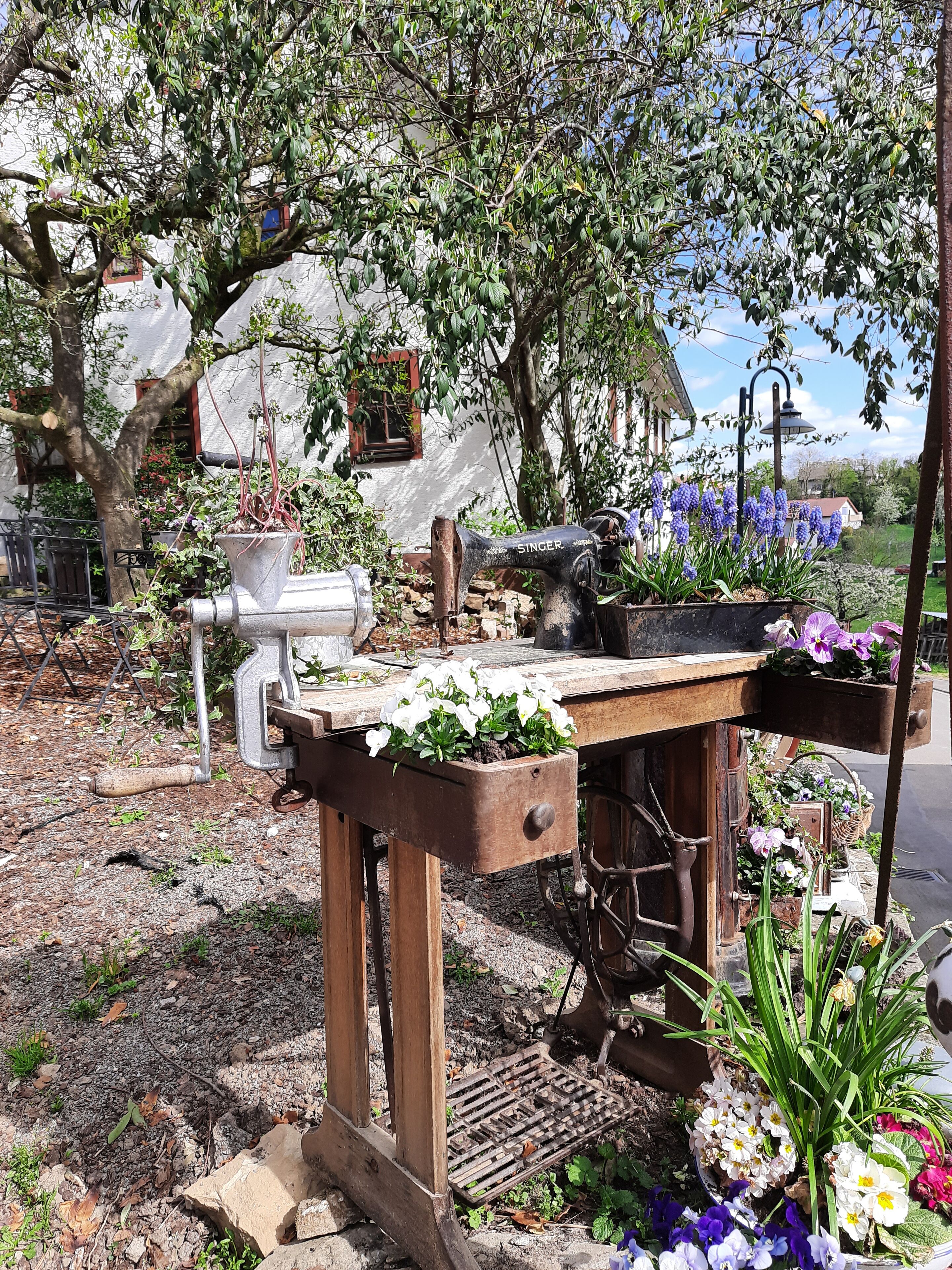 A rustic outdoor setting with a wooden table, vintage Singer sewing machine, and various potted plants.